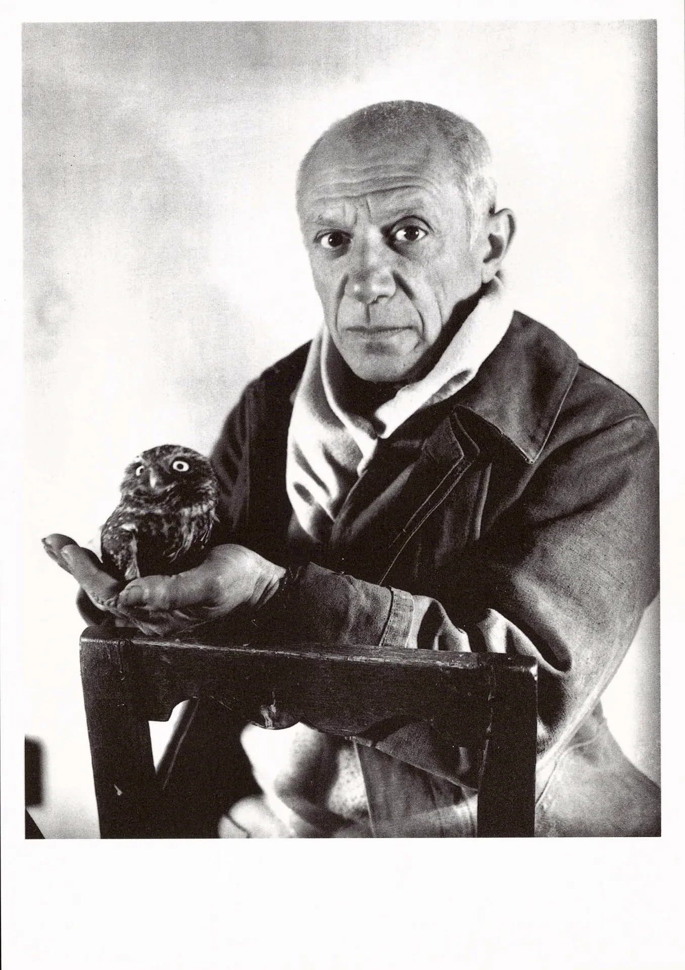 Michel Sima - Pablo Picasso, , Frankreich